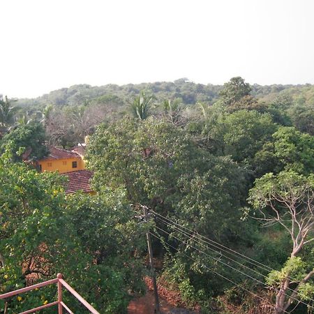 Rudra Holidays Guest House Arambol Exteriör bild